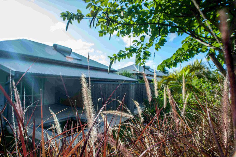 French Coco Hotel La Trinite Ngoại thất bức ảnh